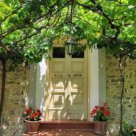 Agriturismo Villa Carducci 卡斯塔涅托卡尔杜奇 外观 照片