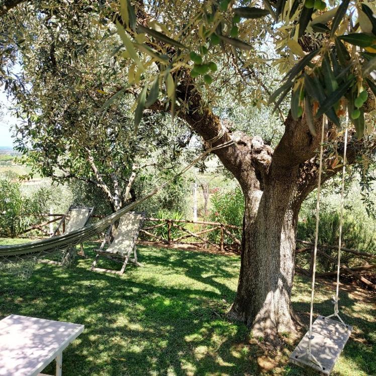 Agriturismo Villa Carducci 卡斯塔涅托卡尔杜奇 外观 照片