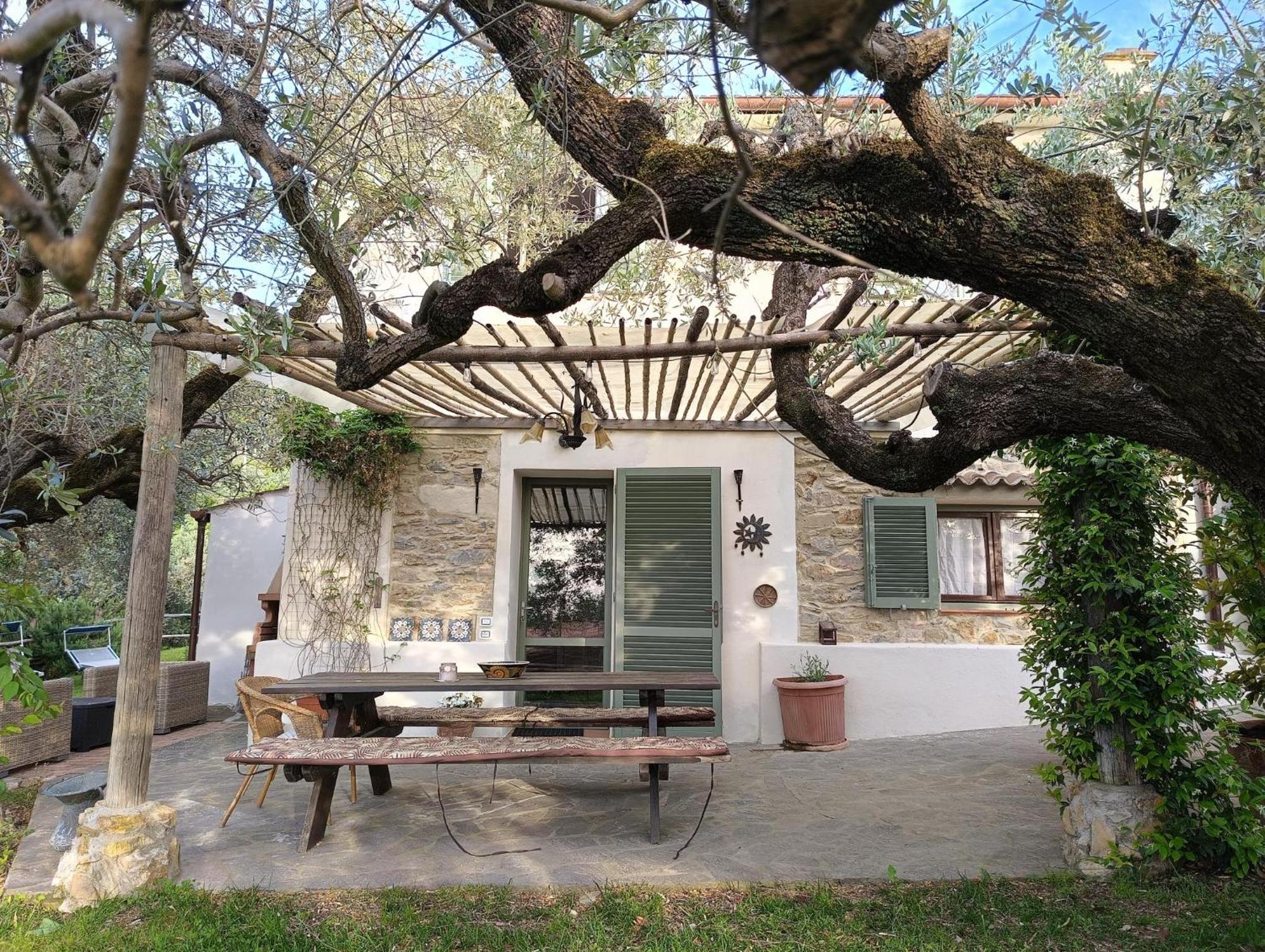 Agriturismo Villa Carducci 卡斯塔涅托卡尔杜奇 外观 照片